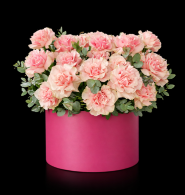 Light pink 30to35 pcs with eucalyptus accessories inside the round box