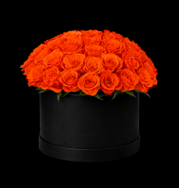 Orang roses 101 pcs inside the round box