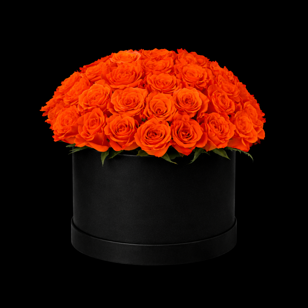 Orang roses 101 pcs inside the round box