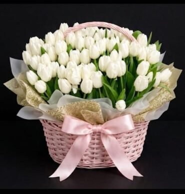101 Tulip Flowers you can choose any color of Tulip