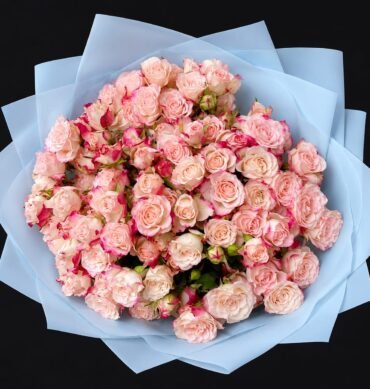 Double color pink spray roses bouquet 30 to 35 stems